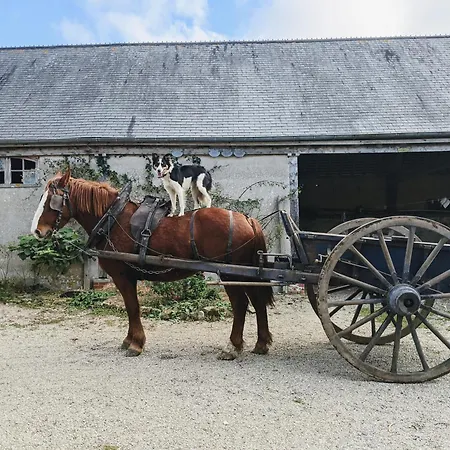 לינה וארוחת בוקר Des Pres A La Ferme De Franqueville *