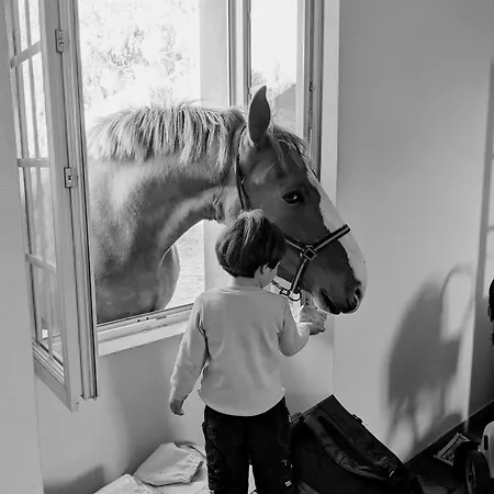 Des Prés à La Ferme De Franqueville 3*