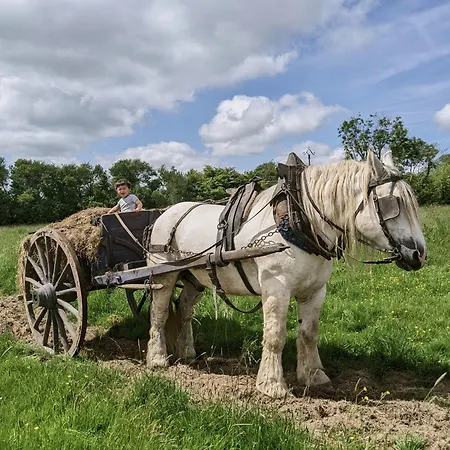 Bed & Breakfast Des Prés à La Ferme De Franqueville Sainte-Marie-du-Mont (Manche)