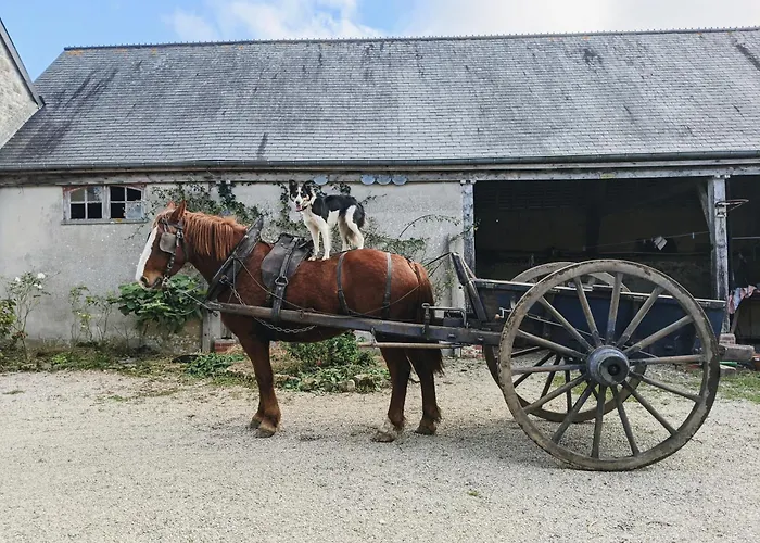 Bed & Breakfast Des Pres A La Ferme De Franqueville 3*