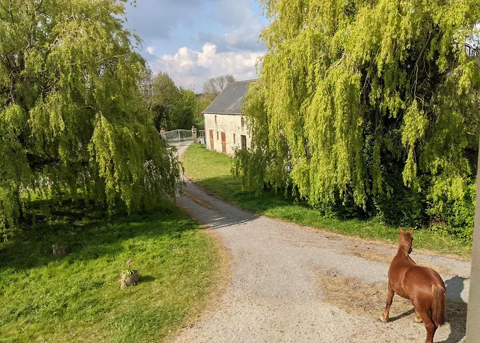 Des Pres A La Ferme De Franqueville