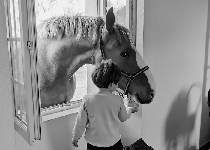 Des Pres A La Ferme De Franqueville 3*