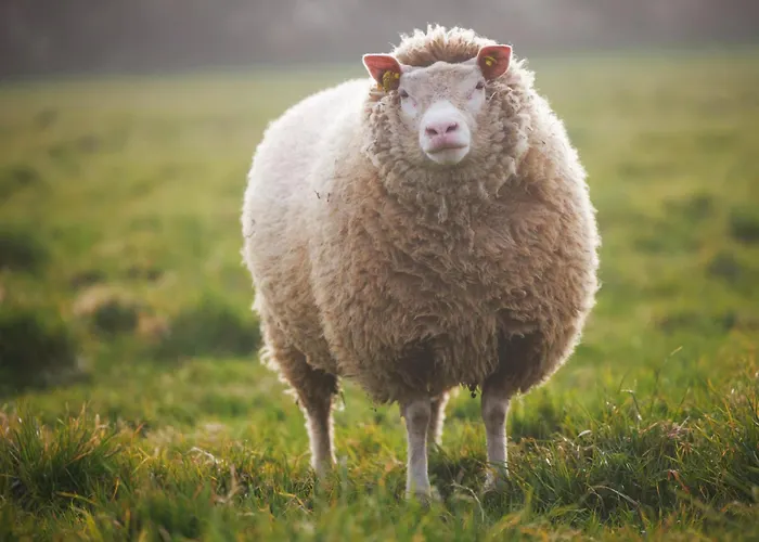 Des Pres A La Ferme De Franqueville 3*