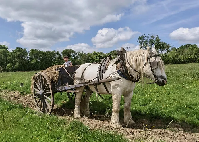 Bed & Breakfast Des Pres A La Ferme De Franqueville Sainte-Marie-du-Mont (Manche)